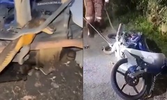 Rắn hổ mang chúa dài gần 4m chặn đường, thiếu niên 16 tuổi sợ hãi vứt xe bỏ chạy