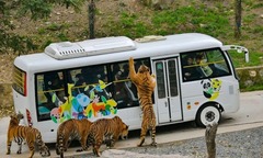 Vườn thú tuyển nhân viên có  "tinh thần thép " cho hổ ăn, lương 185 triệu đồng/tháng