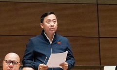 Đề nghị tăng mức phạt, công khai vi phạm bảo vệ môi trường