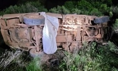 Hai bố con tử vong thương tâm do ong đốt