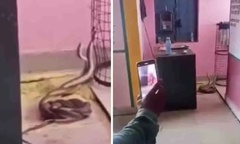 Cảnh tượng kinh hoàng trong lớp học khiến học sinh la hét thất thanh