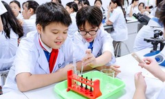 Chi tiết lịch nghỉ Tết Dương lịch 2026 của học sinh cả nước