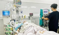 Cố bắt rắn hoa cổ đỏ, người đàn ông bị cắn nhập viện trong tình trạng nguy kịch