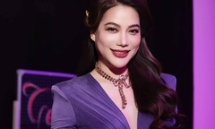 Sự nghiệp của Trương Ngọc Ánh trước khi bị bắt