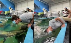 Clip: Bịt mắt cho cá Hải Tượng ăn, nam thanh niên nhận cái kết kinh hoàng