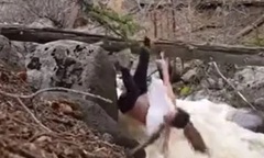 Clip: Quay clip yoga sống ảo trên thân cây, cô gái không may ngã xuống dòng nước chảy xiết