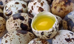 Mỗi ngày bạn có thể ăn bao nhiêu quả trứng cút