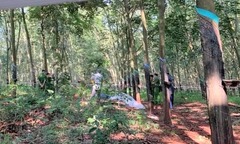 Vụ thi thể thiếu nữ 16 tuổi mặc áo đỏ trong rừng cao su: Tội ác của kẻ gây án và lời xin lỗi muộn màng