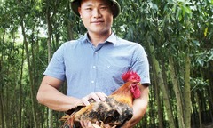 Bỏ chốn phồn hoa về rừng làm nông dân, 9X gây dựng thành công giống gà 6 ngón Nà Vàng