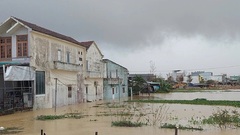 Sau mưa lũ, học sinh Gia Lai có thể đi học trở lại từ ngày mai (21/11)