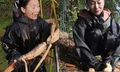 Vỡ nợ 18,5 tỷ sau một đêm, nữ đại gia phải bán biệt thự, xuống đầm làm thuê nuôi chồng