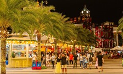 Cây thông bừng sáng: Phú Quốc chính thức bước vào mùa lễ hội rực rỡ nhất năm