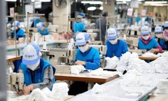 Bộ Nội vụ yêu cầu báo cáo tiền lương, thưởng Tết trước ngày 25/12