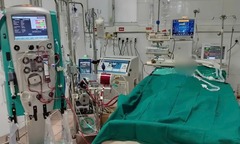 Tin tức đời sống 28/11: Nguyên nhân khiến 316 người ngộ độc sau khi ăn bánh mì ở TP.HCM