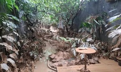 Nam diễn viên nổi tiếng  "suy sụp " vì cửa hàng bị tàn phá nặng nề sau trận lũ lụt kinh hoàng