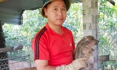 9X bỏ phố về quê nuôi heo rừng lai, thu lãi 700 triệu đồng/năm