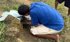 Em bé sơ sinh còn nguyên dây rốn bị bỏ rơi gần tổ kiến, danh tính người mẹ gây phẫn nộ