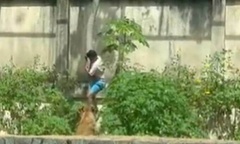 Cố trèo vào chuồng sư tử, chàng trai tử vong thương tâm