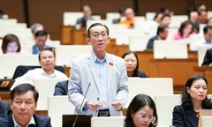 Đại biểu cảm kích trước chiến dịch giúp người dân vùng bão, lũ có nhà trước Tết