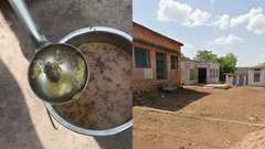 Phát hiện ếch trong suất ăn trưa của học sinh tiểu học ở Ấn Độ, cơ quan chức năng khẩn trương điều tra