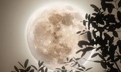 Rạng sáng 5/12, Việt Nam đón siêu trăng lạnh, khung giờ nào sẽ quan sát tốt nhất?