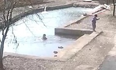 Clip: Bạn trượt chân ngã xuống ao, cậu bé phản ứng nhanh trí cứu bạn thoát tay  "tử thần "