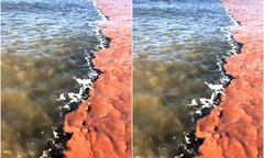 Tin thời sự ngày (6/12): Một ngày phát hiện 2 thi thể ở Đà Nẵng