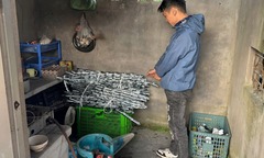 Triệu tập Nguyễn Thế Anh - nghi phạm cắt trộm 121m dây cáp điện ở Hải Phòng