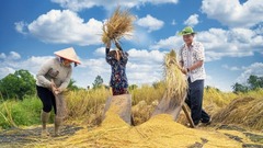 Lão nông 61 tuổi dành trọn 2,5 ha đất  "hồi sinh " lúa mùa, biến ruộng đồng thành trường học