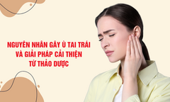Nguyên nhân gây ù tai trái và giải pháp hỗ trợ hiệu quả từ thảo dược