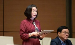 ĐBQH nêu những con số báo động thể hiện "sự mong manh của hôn nhân trong thời kỳ hiện đại "