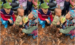 Tin thời sự ngày (18/12): Bé trai 4 tuổi bị lạc qua đêm trong rừng