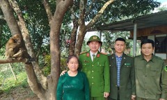 Phát hiện con vật nhiều lông, đuôi giống lợn đi lạc vào vườn, người dân bàn giao cho cơ quan chức năng