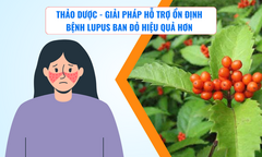 Thảo dược - Giải pháp hỗ trợ ổn định bệnh lupus ban đỏ hiệu quả hơn