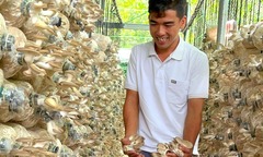 Bỏ phố về quê làm  "anh nông dân ", cử nhân gây sốt khi thu phục nấm dược liệu, kiếm tiền tỷ