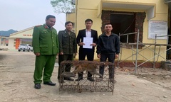 Người dân ở Quảng Trị tự nguyện giao nộp con vật  "lắm lông, đuôi dài ", quý hiếm 