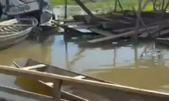 Xót xa bé gái 2 tuổi bị cá cọp piranha hung dữ tấn công, tử vong thương tâm