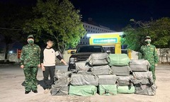 Tài xế chở 380kg lòng lợn sấy khô khai gì?