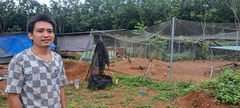 Bỏ phố về quê nuôi loài  "đẹp như tranh vẽ " nhưng hung dữ, 9X lãi  "đậm "