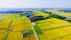 Chuyển đất nông nghiệp sang đất thổ cư hết bao nhiêu tiền