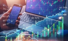 Vì sao công ty TNHH Hướng Dương Holdings bị xử phạt?