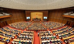Đại biểu Quốc hội  "hiến kế " để các luật đi vào cuộc sống, phát huy hiệu quả tạo đà phát triển 