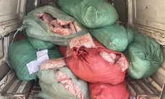 Phát hiện, tiêu hủy hơn 800kg chân gà bốc mùi chuẩn bị đưa ra thị trường