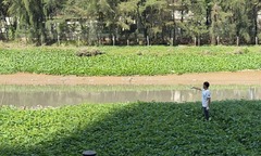 Phát hiện thi thể nam giới dưới rạch tại TPHCM, trên áo in dòng chữ “Drik Up The Past”