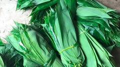 Loại lá  từng bị bỏ đi không ai lấy, bất ngờ được  "săn lùng " với giá đắt đỏ