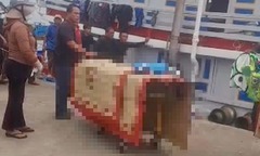 Thuyền viên tử vong khi lặn kiểm tra chân vịt tàu cá trên biển ở Lâm Đồng