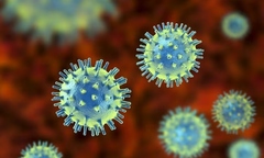 Phát hiện virus bệnh truyền nhiễm lây lan nhanh nhất tại sân bay Mỹ