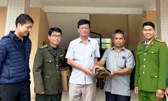 Phát hiện con vật quý hiếm, nặng 4kg khi đi làm nương rẫy, người dân giao nộp công an