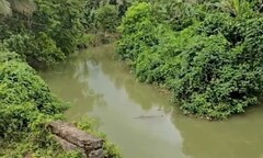 Đang giặt quần áo trên sông, cậu bé 14 tuổi bị thứ đáng sợ kéo xuống nước, cắn tử vong