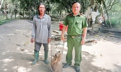 Phát hiện loài khỉ lạ, có bờm xù màu vàng, người dân giao nộp công an